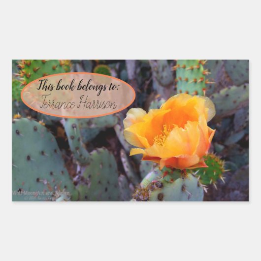 Oranje peul, opuntia cactus, bloemfoto rechthoekige sticker (Voorkant)