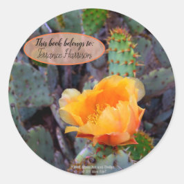 Oranje peul, opuntia cactus, bloemfoto ronde sticker