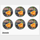 Oranje peul, opuntia cactus, bloemfoto ronde sticker (Vel)