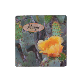 Oranje peul, opuntia cactus, bloemfoto stenen magneet