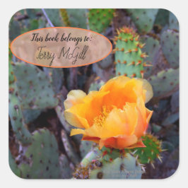Oranje peul, opuntia cactus, bloemfoto vierkante sticker