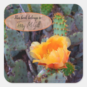 Oranje peul, opuntia cactus, bloemfoto vierkante sticker