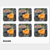 Oranje peul, opuntia cactus, bloemfoto vierkante sticker (Vel)