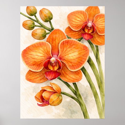 Oranje Phalaenopsis Orchidee Botanische Aquarel Poster (Voorkant)
