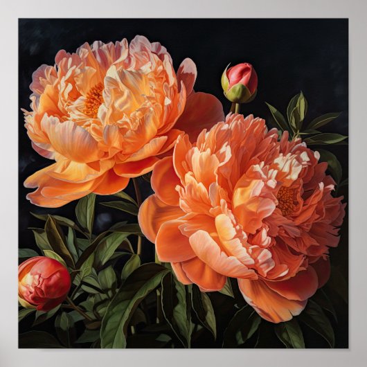 Oranje Pioenrozen Bloemen Art Print Poster (Voorkant)