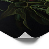 Oranje Pioenrozen Bloemen Art Print Poster (Hoek)