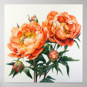 Oranje Pioenrozen Bloemen Art Print Poster