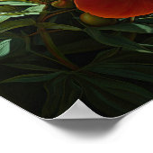 Oranje Pioenrozen Bloemen Art Print Poster (Hoek)