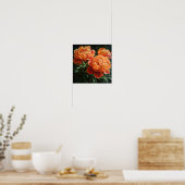 Oranje Pioenrozen Bloemen Art Print Poster (Keuken)