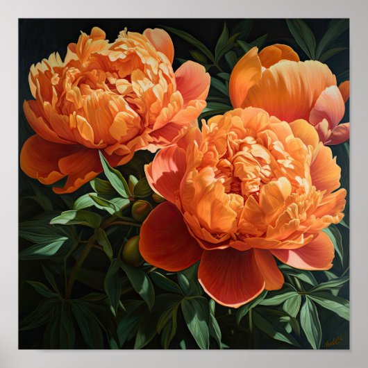 Oranje Pioenrozen Bloemen Art Print Poster (Voorkant)