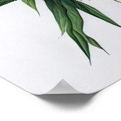 Oranje Pioenrozen Bloemen Art Print Poster (Hoek)