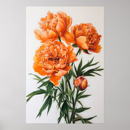 Oranje Pioenrozen Bloemen Art Print Poster (Voorkant)