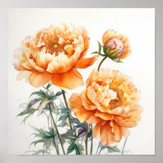 Oranje Pioenrozen Bloemen Art Print Poster (Voorkant)