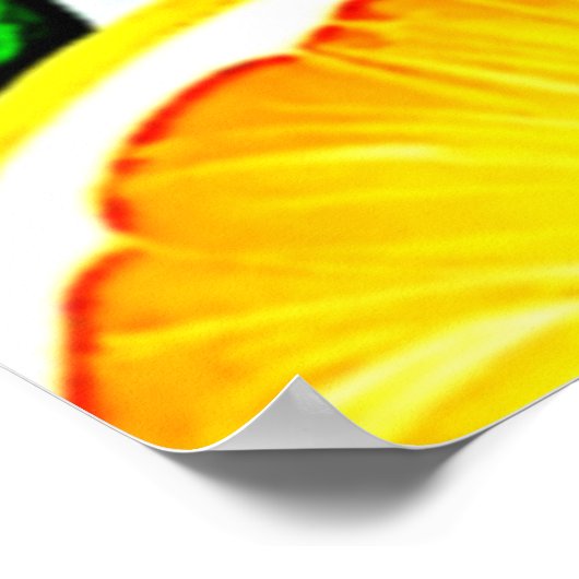 Oranje plak: citruskunst poster (Hoek)