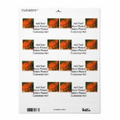 Oranje Plant Ixora Etiket (Full Sheet)