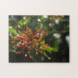 Oranje Planten Puzzel
