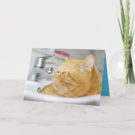 Oranje poes kat knuffel aanpasbare kaart
