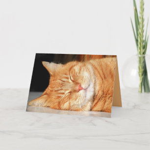Oranje Poes Kat Schattig Aanpasbare Kaart