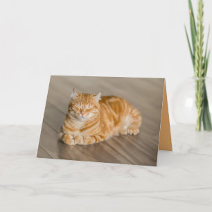 Oranje poes kat schattige aanpasbare kaart