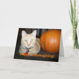 Oranje poes met pompoen Happy Thanksgiving Kaart