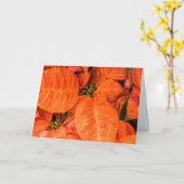 Oranje poinsettia kaart (Gele Bloem)