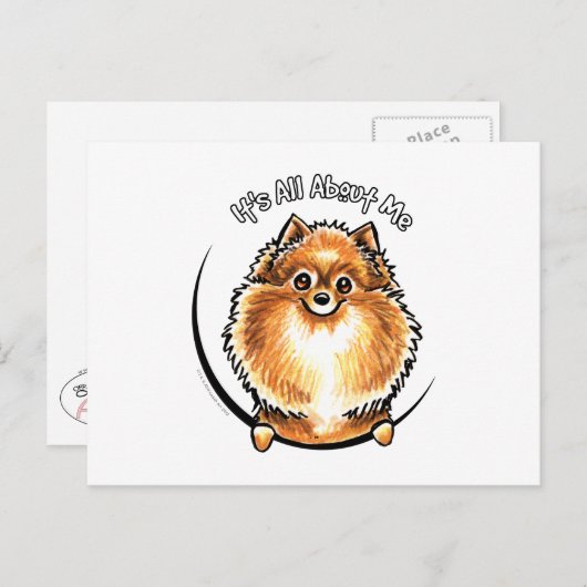 Oranje Pommeren IAAM Briefkaart (Voorkant / Achterkant)