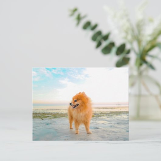 Oranje pommerse hond bij het strand briefkaart (Staand voorkant)