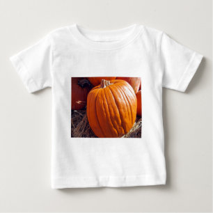 Oranje pompoen
