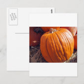 Oranje pompoen briefkaart (Voorkant / Achterkant)