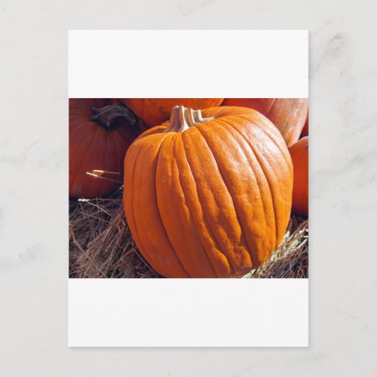 Oranje pompoen briefkaart (Voorkant)