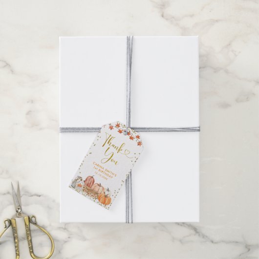 Oranje pompoenpleister herfstverjaardag dank u cadeaulabel (Met Touw)