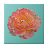 Oranje pony tegeltje (Voorkant)