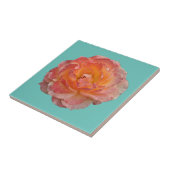 Oranje pony tegeltje (Zijkant)