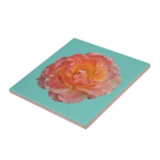 Oranje pony tegeltje (Zijkant)