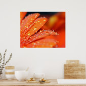 Oranje Pop Poster (Keuken)