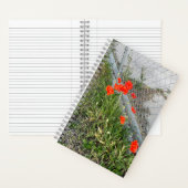 Oranje Poppies Journal Notitieboek (Binnen)