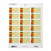 Oranje Poppy-adreslabels Etiket (Full Sheet)