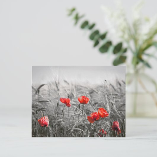 Oranje Poppy Flower Field minimalistische fotograf Briefkaart (Staand voorkant)