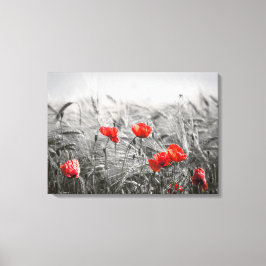 Oranje Poppy Flower Field minimalistische fotograf Canvas Afdruk