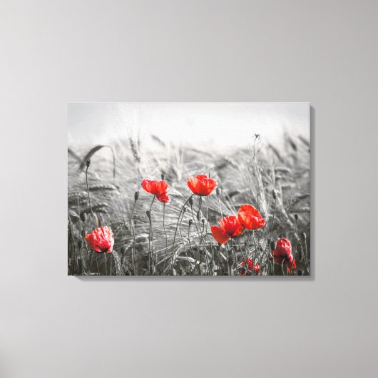 Oranje Poppy Flower Field minimalistische fotograf Canvas Afdruk (Voorkant)