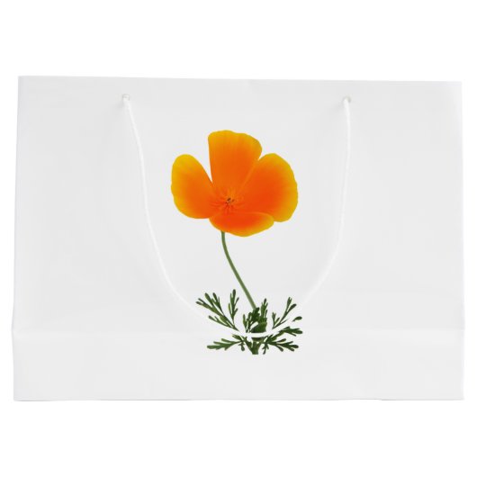 oranje poppy grote cadeautas (Achterkant)
