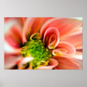 Oranje Poster (Voorkant)