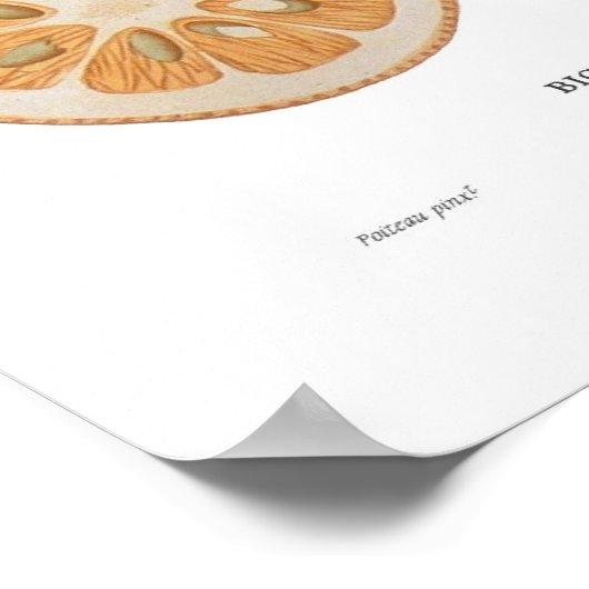 Oranje Poster (Hoek)