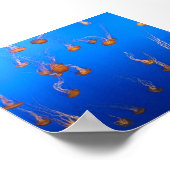 Oranje Poster (Hoek)