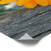 Oranje poster (Hoek)