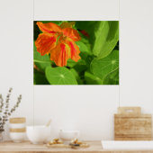 oranje poster (Keuken)