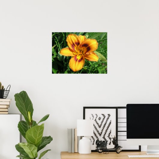 Oranje Poster Daylily (Thuiskantoor)