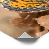 Oranje Poster van vlinderbloemigen (Hoek)