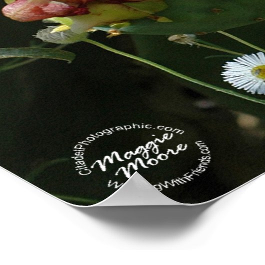 Oranje Prickly Pear Cactus Flower Poster (Hoek)