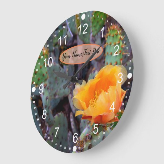 Oranje Prickly Pear Opuntia Cactus Flower Photo Grote Klok (Hoek)